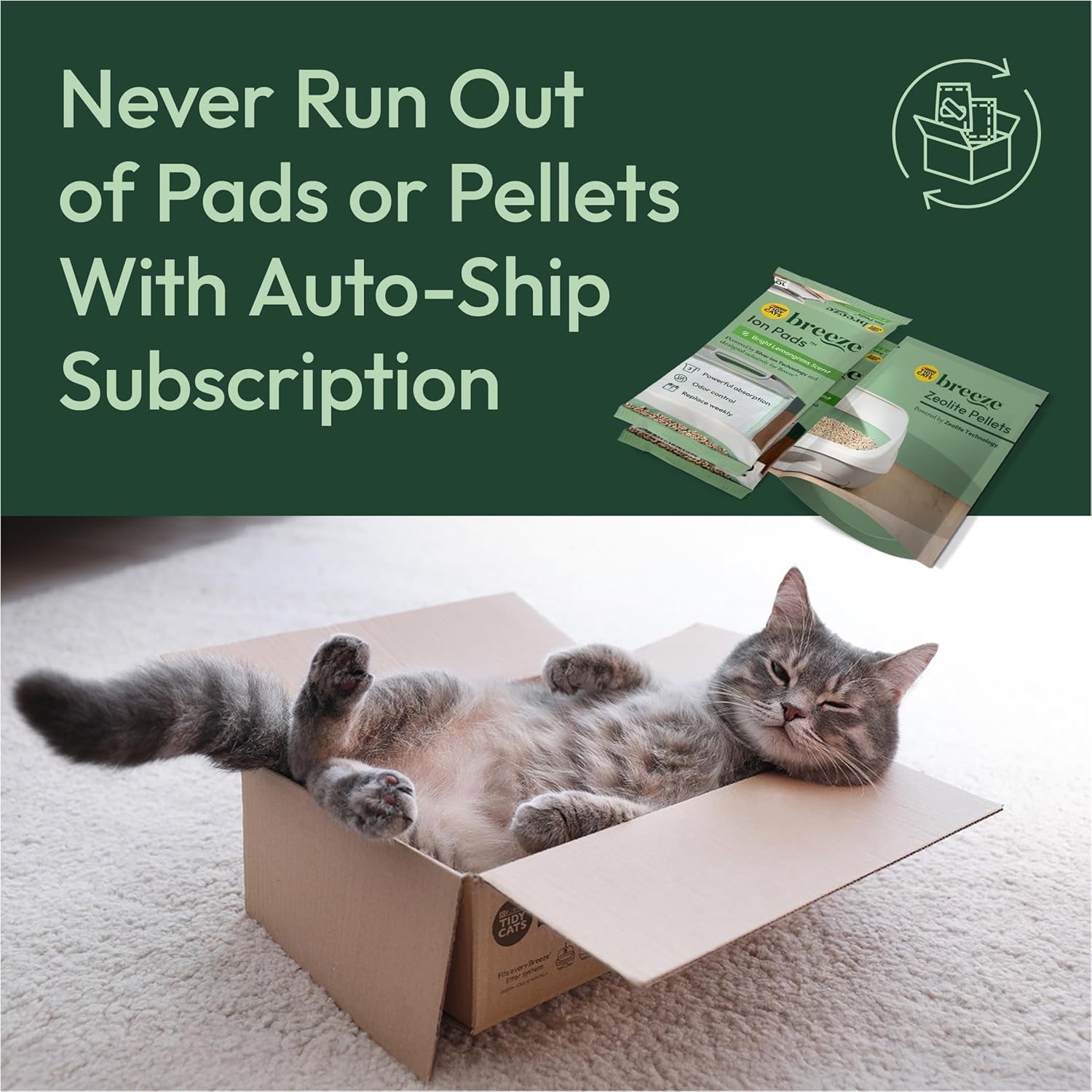Cats Litter Pellets - Image 2