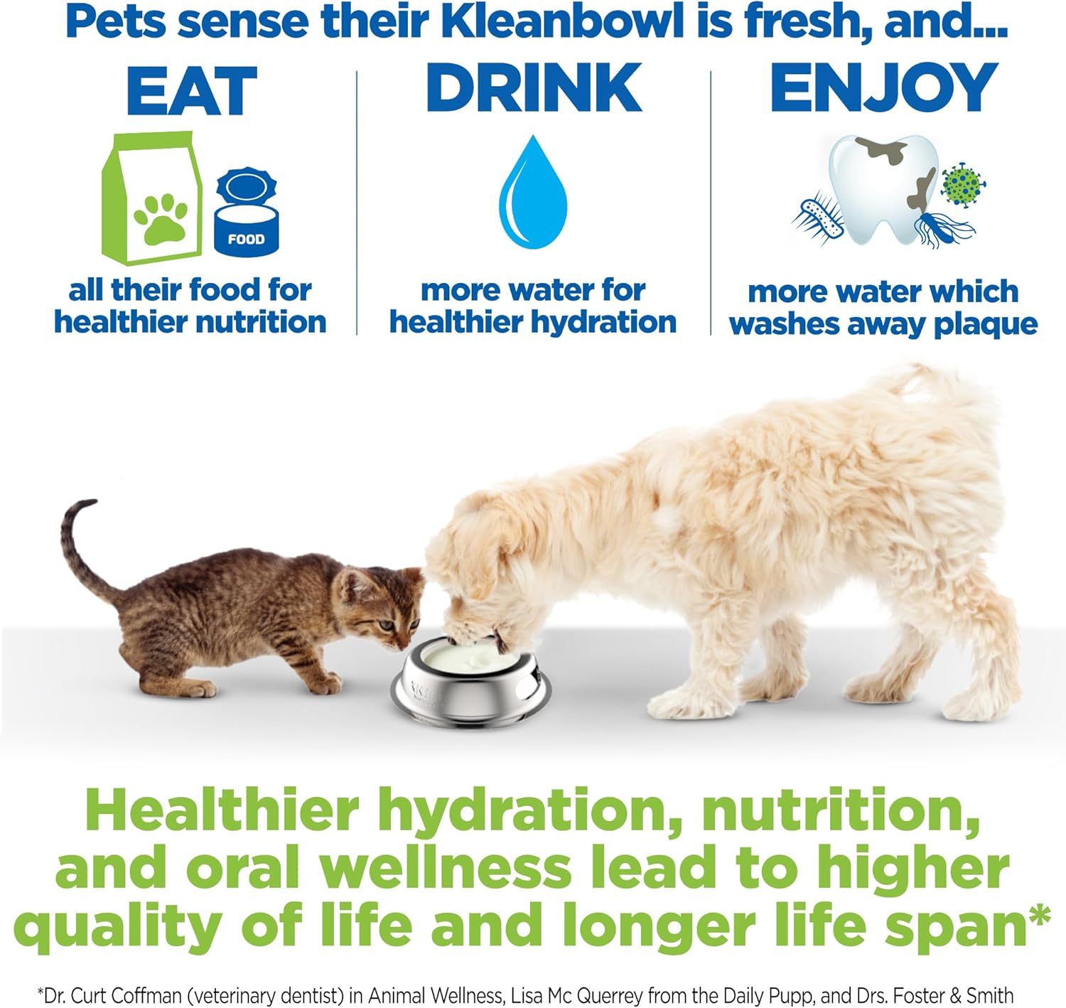 Collapsible Travel Pet Bowl (Set of 2) - Image 3
