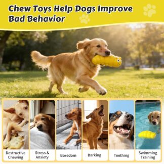 Squeaky Rubber Chew Toy