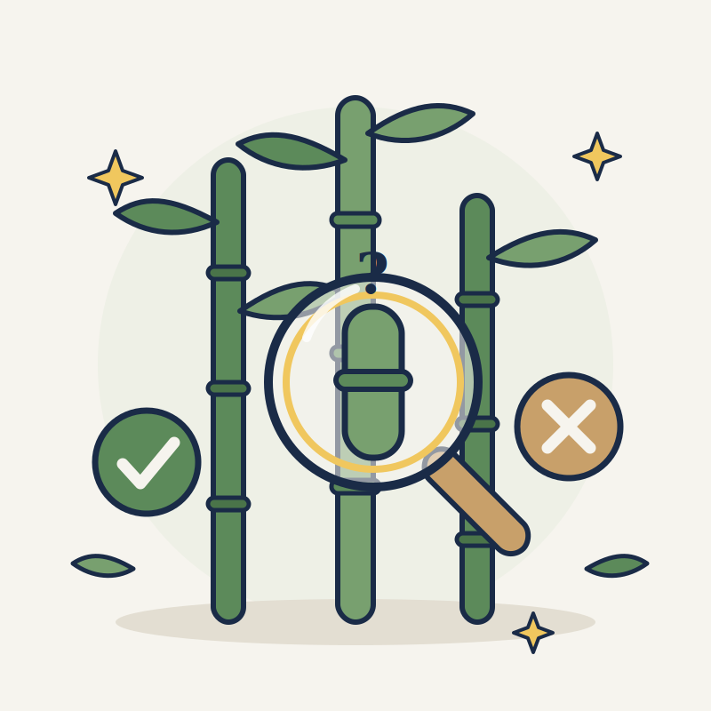 Flat illustration of bamboo stalks under a magnifying glass with a check mark and a cross