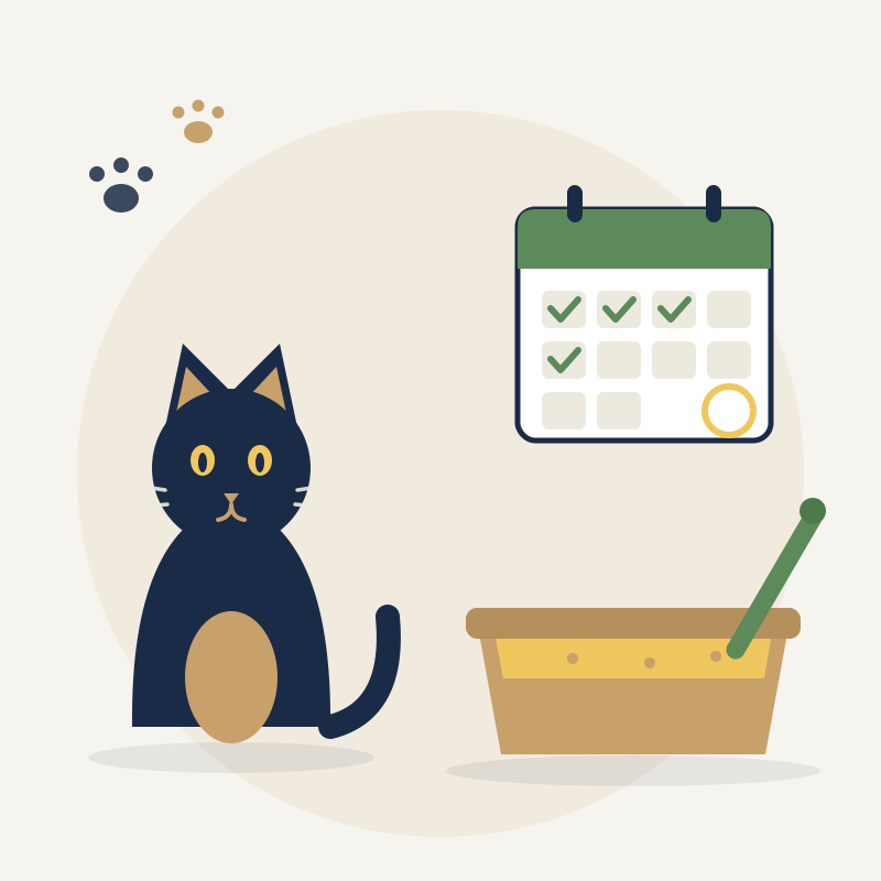 Flat illustration of a cat beside a litter box, scoop and calendar showing a cleaning schedule