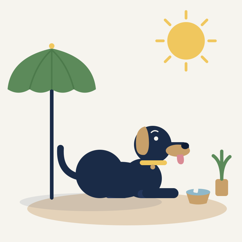 Flat illustration of a dog cooling off in the shade with a water bowl during the Portuguese summer